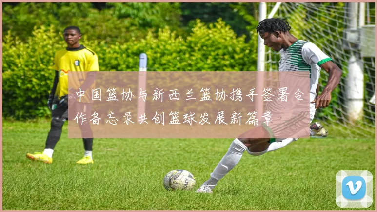 中国篮协与新西兰篮协携手签署合作备忘录共创篮球发展新篇章